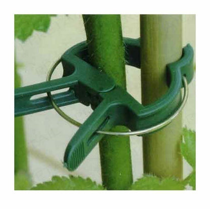 Plant Clips spring loaded large 20 pack