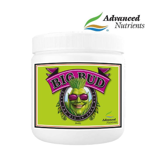 Advanced Nutrients Big Bud Powder