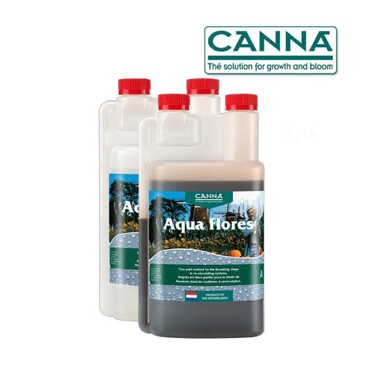 Canna Aqua Flores A&B