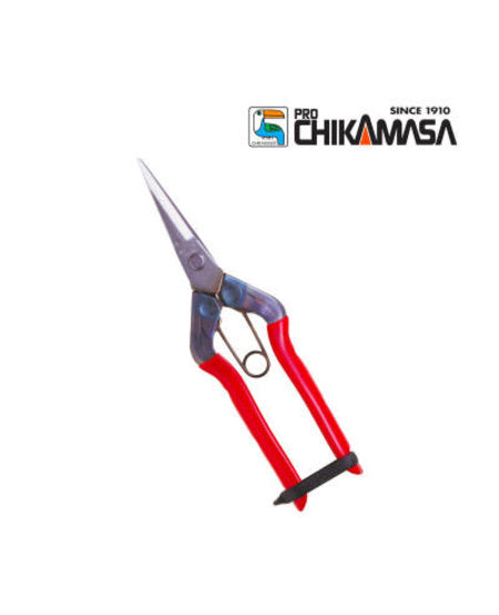 Chikamasa T-550&nbsp;Carbon Steel