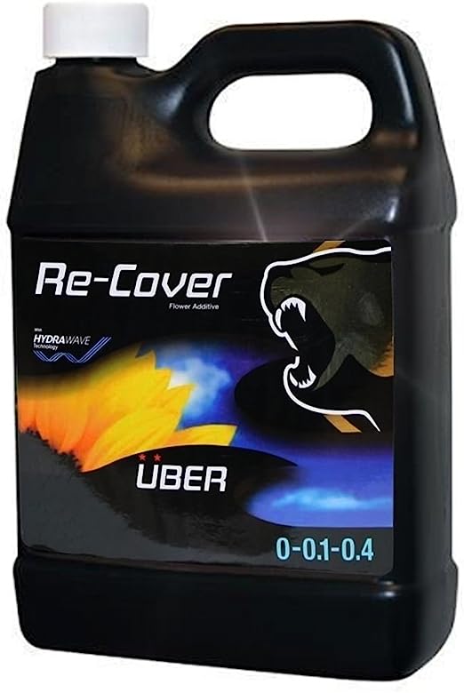 Uber Re-Cover, Recovery Dragon