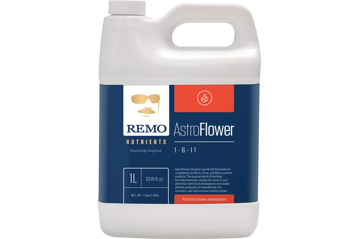 Remo Astro Flower