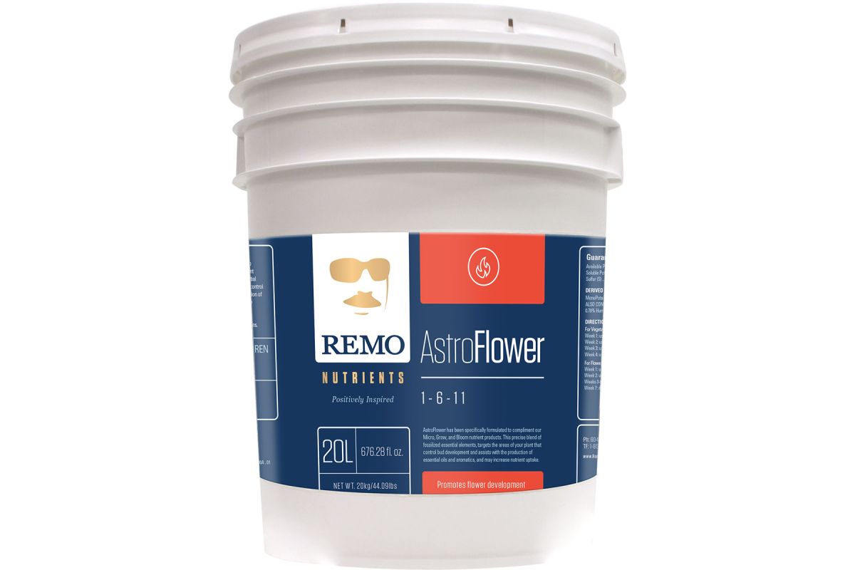 Remo Astro Flower