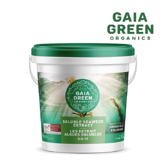 Gaia Green Organics Soluble Seaweed Extract 0-0-17