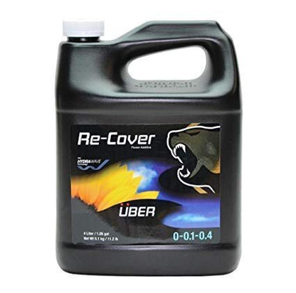 Uber Re-Cover, Recovery Dragon